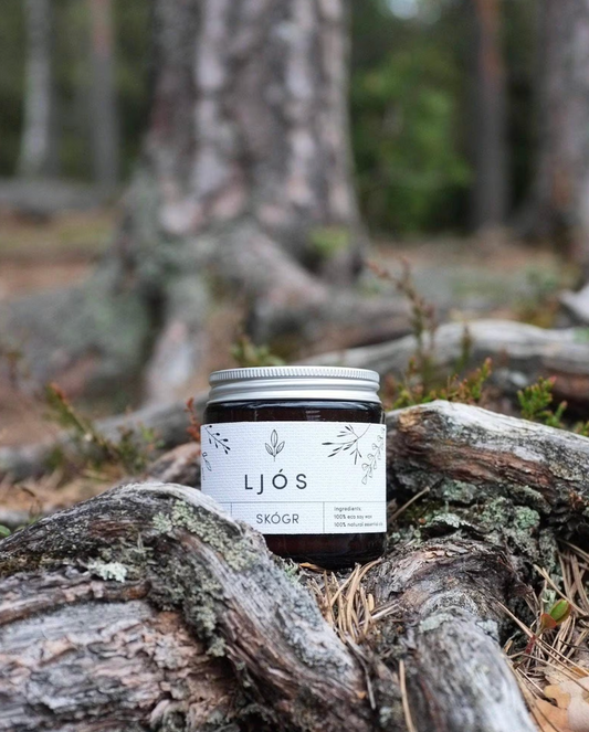 Norwegian Ljós Candle -- Skógr (100g) Fir and Pine Needles
